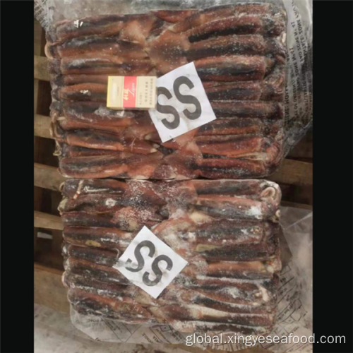 China 100-200 Illex Argentinus Whole Round Squid Frozen Squid Manufactory